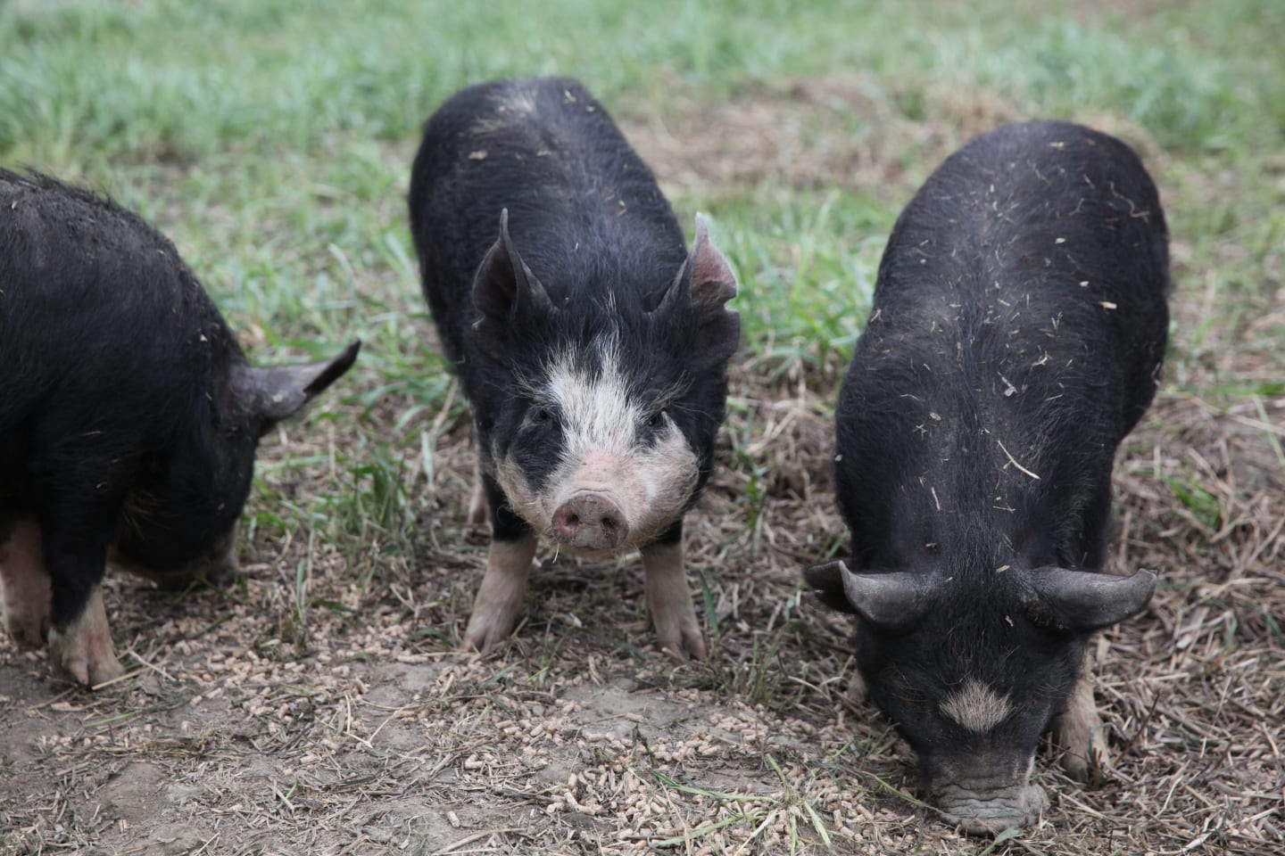  Hållbart erbjudande