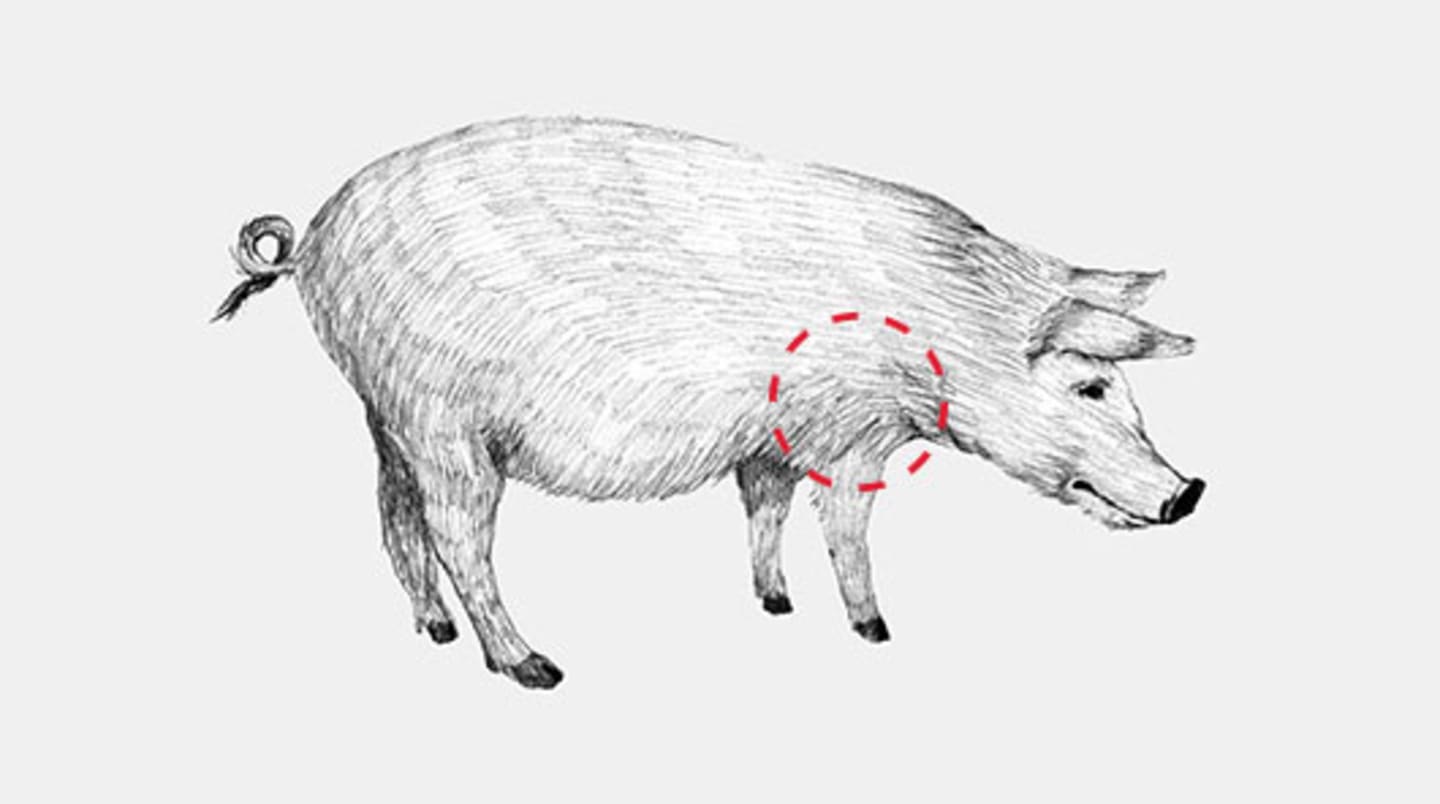 Grisens hemlighet - Secreto